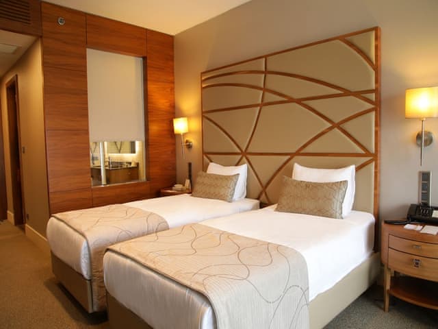 Superior Twin Room (Land View)