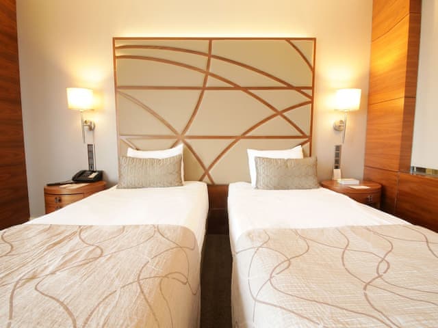 Superior Twin Room (Land View)