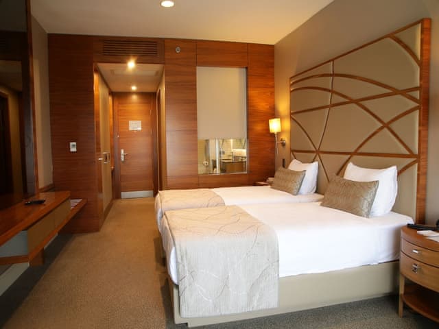 Superior Twin Room (Land View)