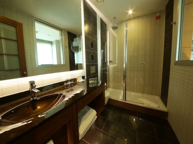 Superior Twin Room (Land View)