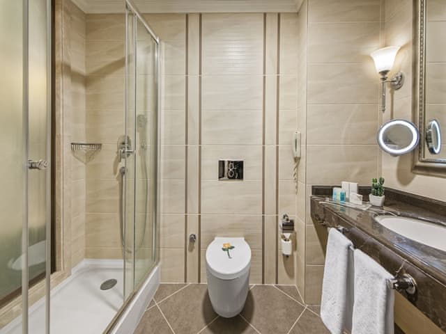 Superior Room with queen size bed