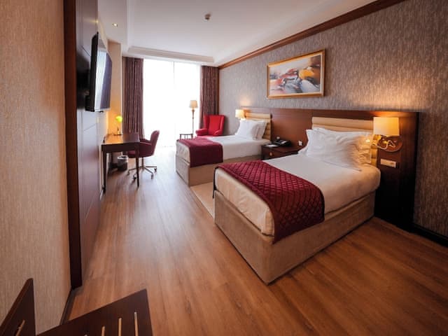Deluxe Room, 2 Twin Beds, Mountain View
