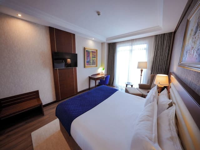Deluxe Room, Mountain View