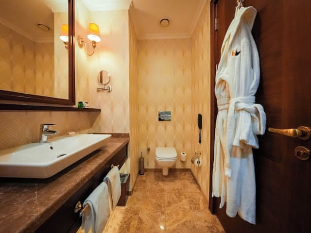 Deluxe Room, Mountain View
