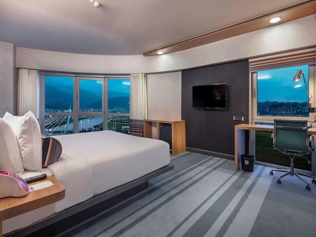 Room, 1 King Bed