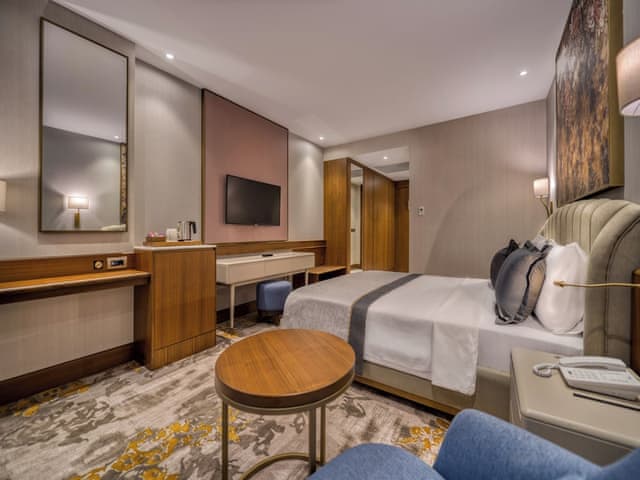 Deluxe Room, Mountain View