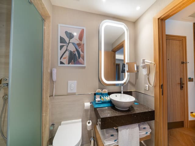 Family Room Pool Access via Stairs