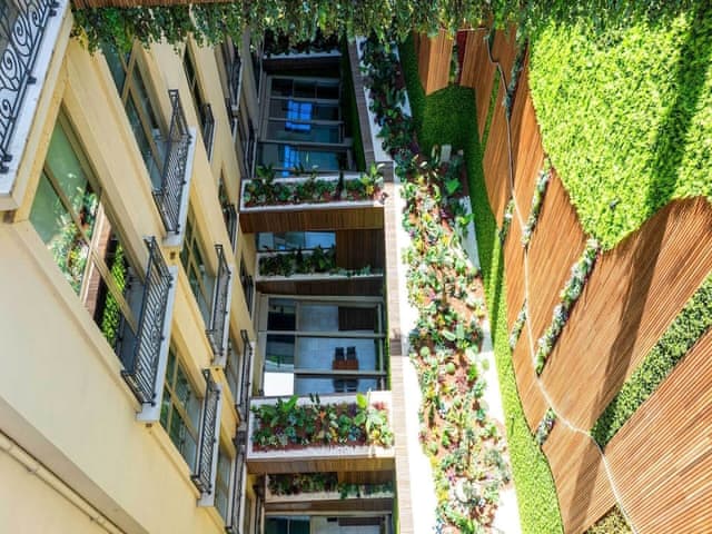 Superior Evergreen Room