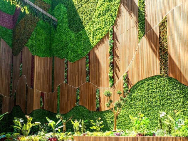 Superior Evergreen Room