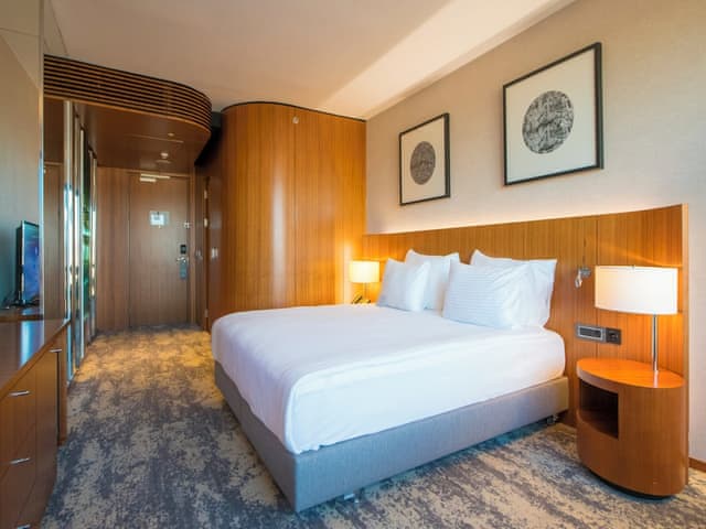 Standart Oda, 1 King Yatak