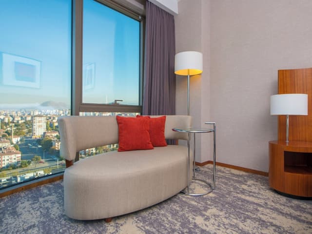 Standart Oda, 1 King Yatak