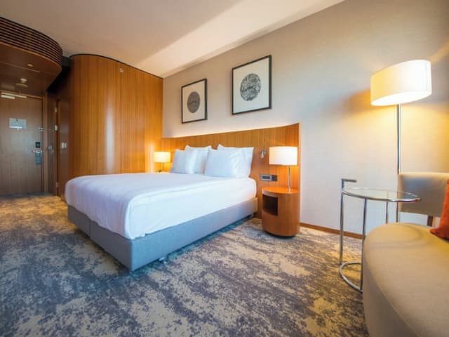 Standart Oda, 1 King Yatak