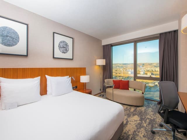 Standart Oda, 1 King Yatak