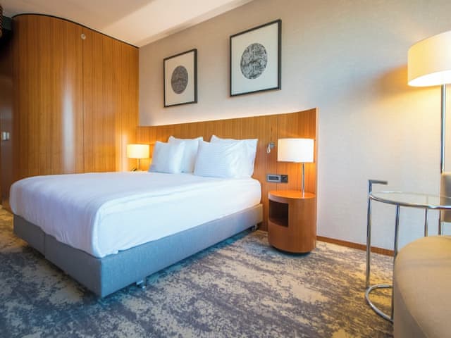 Standart Oda, 1 King Yatak