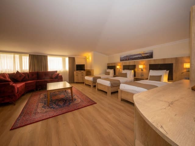 Junior Room, Multiple Beds, Non Smoking, Bathtub