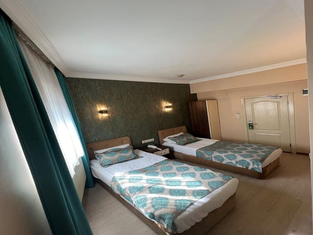 Basic Twin Room