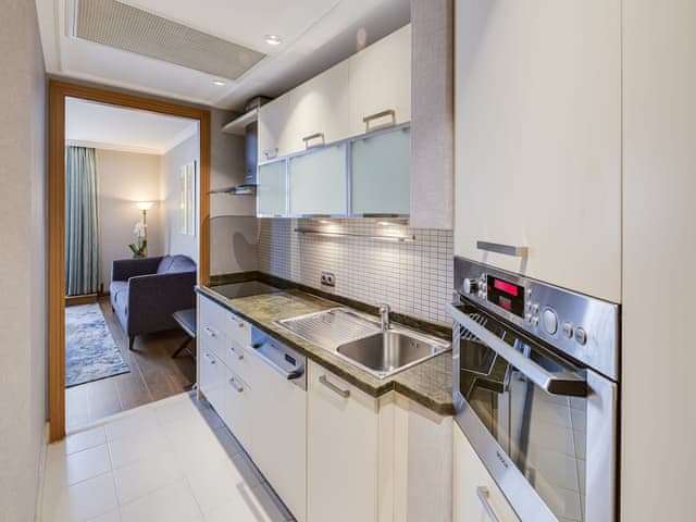 Executive Suite, 1 King Bed with Sofa bed, Kitchen, City View