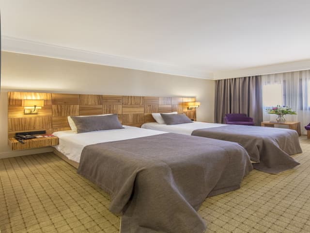 Standard Room, Non Smoking (3 Twin or 1 French Bed and 1 Single)