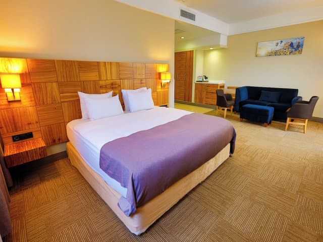 Deluxe Suite, Non Smoking (1 King Bed, 1 Single Bed)