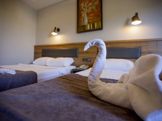 Standard Room, Pool view