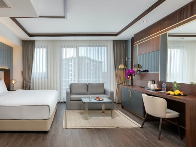 Premium Business Executive Room