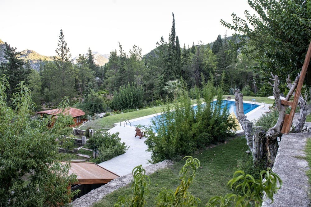 Trinitys Forest Bungalows