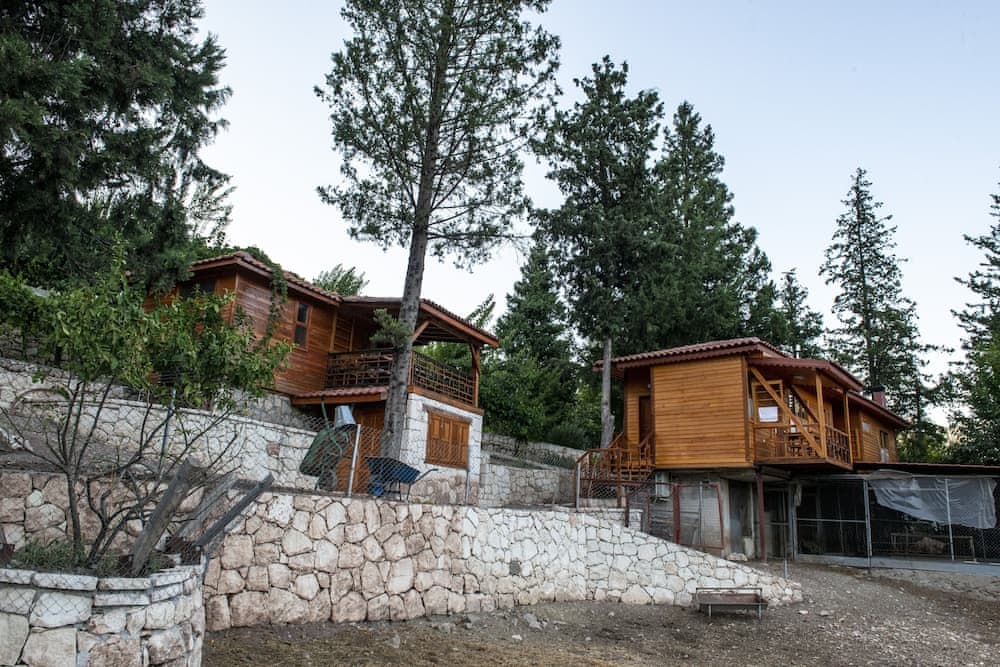 Trinitys Forest Bungalows