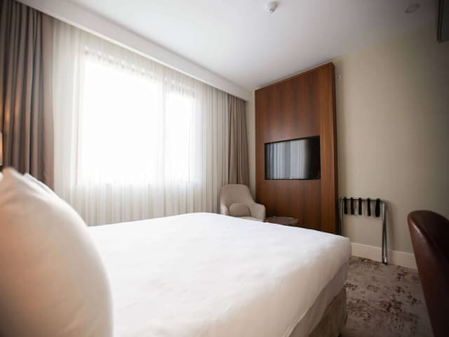Superior Room, 1 King Bed, City View