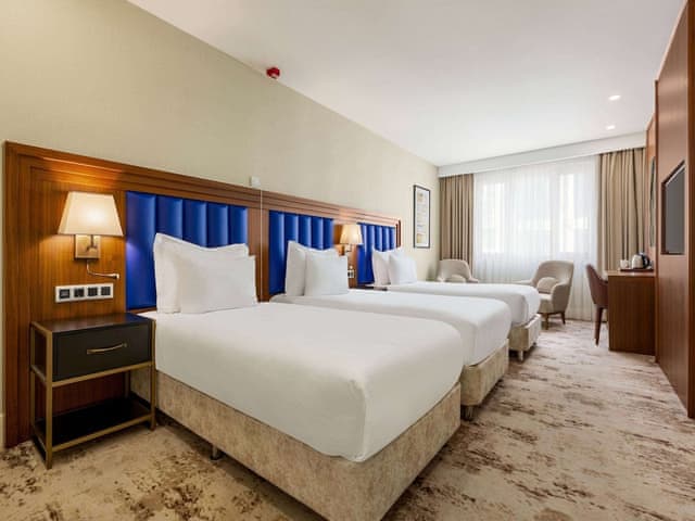 Deluxe Room, 3 Twin Beds