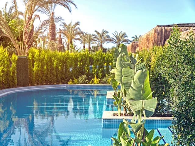 Superior Villa, Pool Access, Pool View