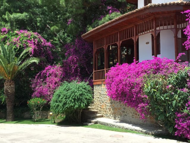 Standard Club Bungalow