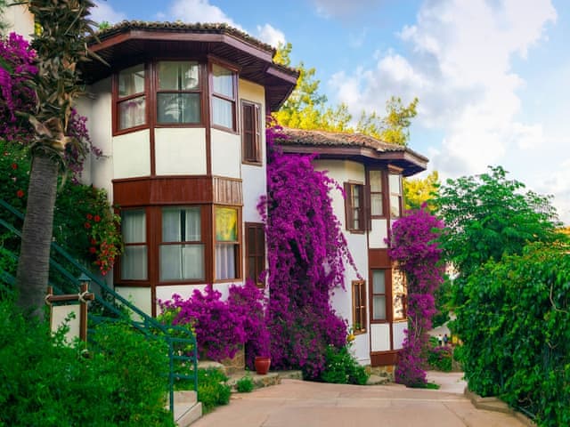 Standard Club Bungalow