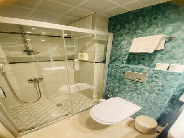 Deluxe Apartment with Balcony