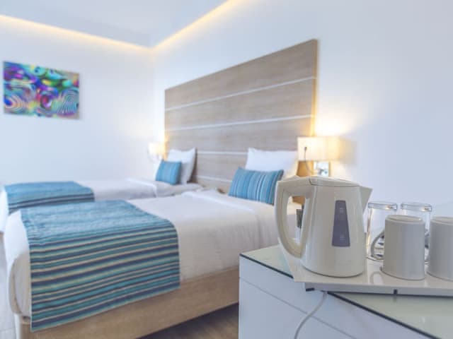 Bahçe veya Havuz Manzaralı Standart Oda