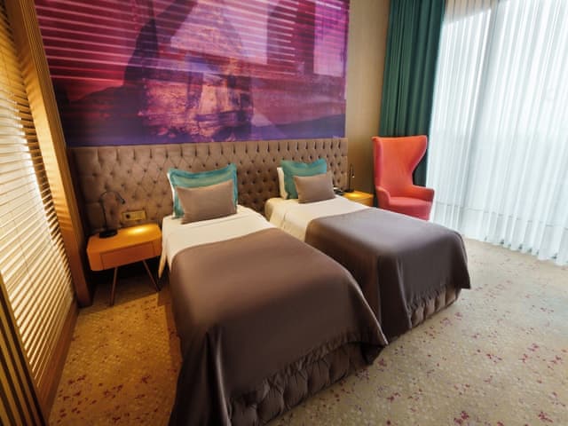 Delüks İki Yataklı Oda