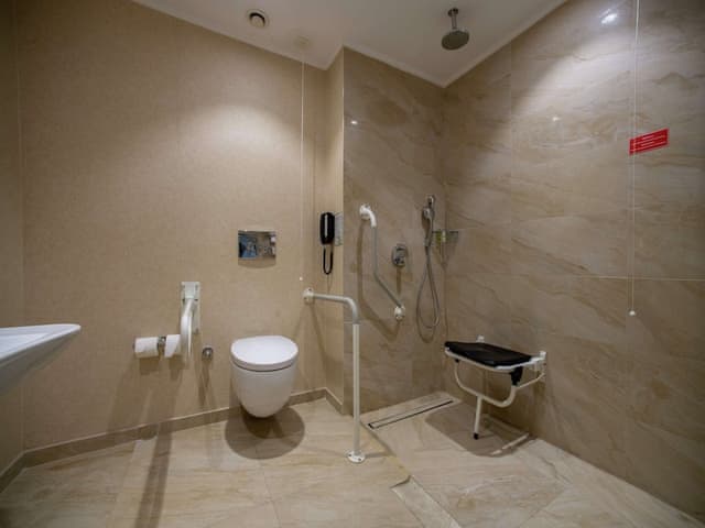 Room, 1 Queen Bed, Accessible