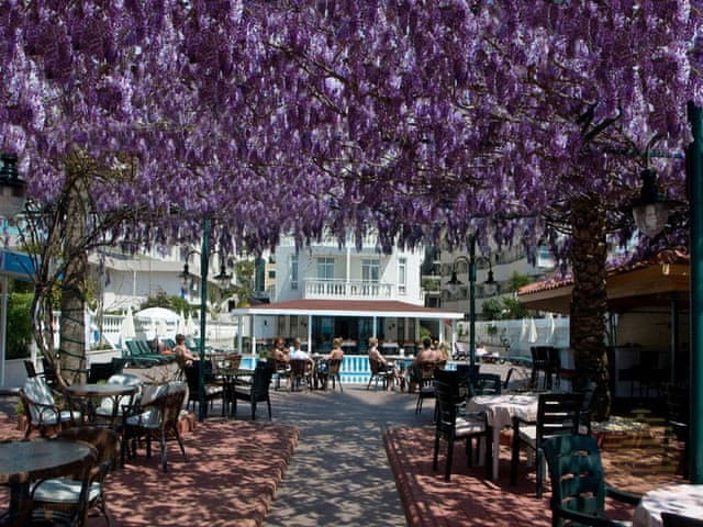 Standart Çift Kişilik veya Twin Oda