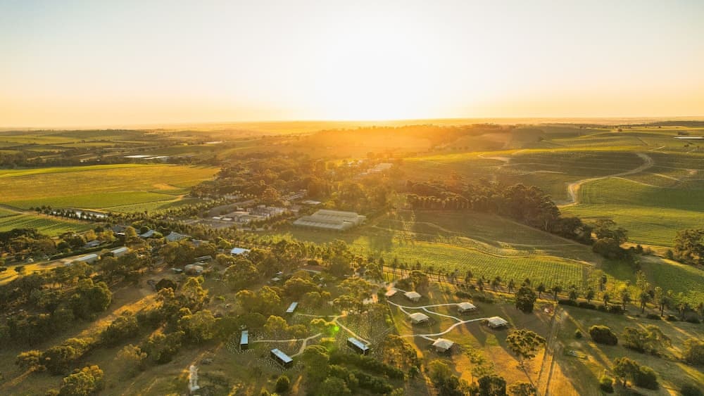 CABN X Seppeltsfield Barossa