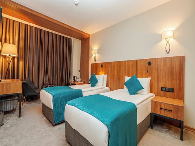 Deluxe Room, Mountain View