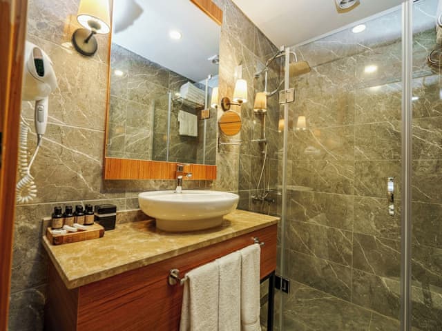 Deluxe Room, Mountain View