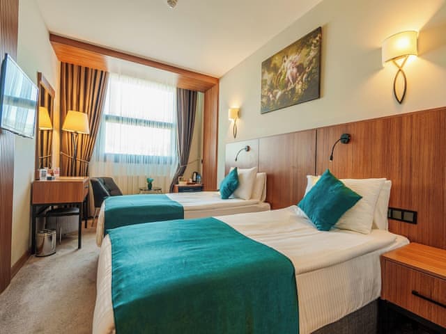 Deluxe Room, Mountain View