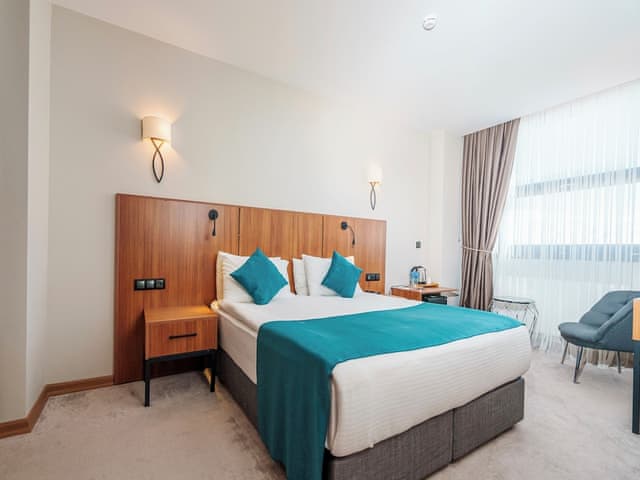 Deluxe Room, Mountain View