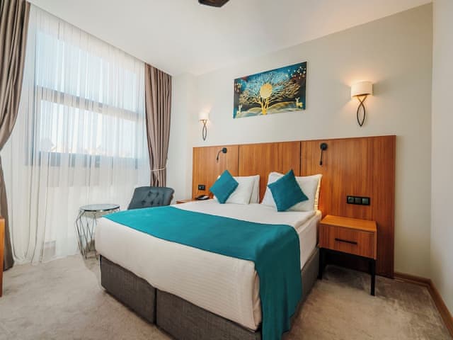 Deluxe Room, Mountain View