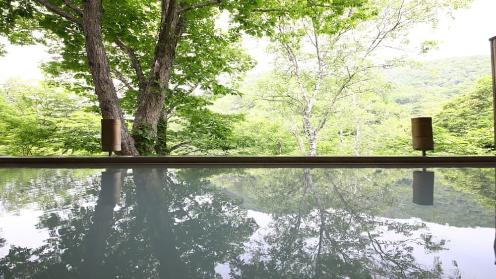 Shigakogen Milky Hot Spring Keikokunoyu €372