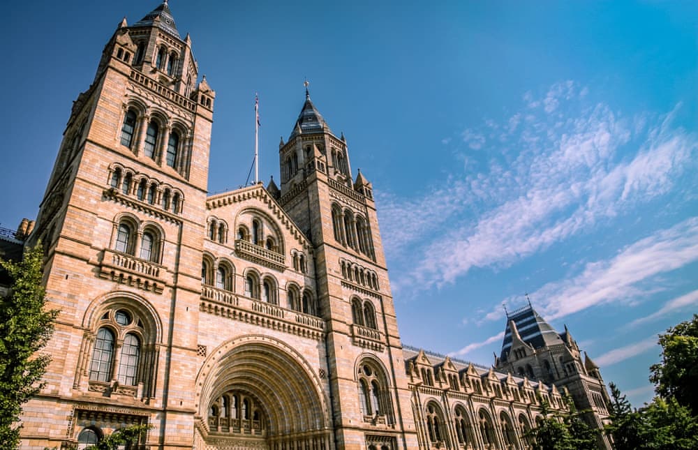 Музей естественной истории