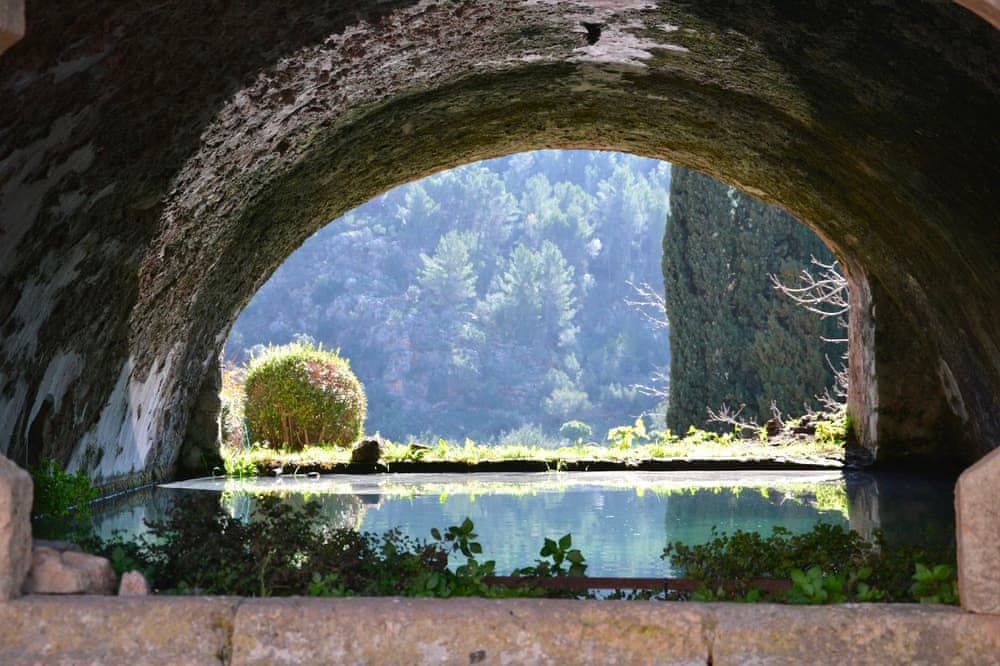 Сады Альфабии