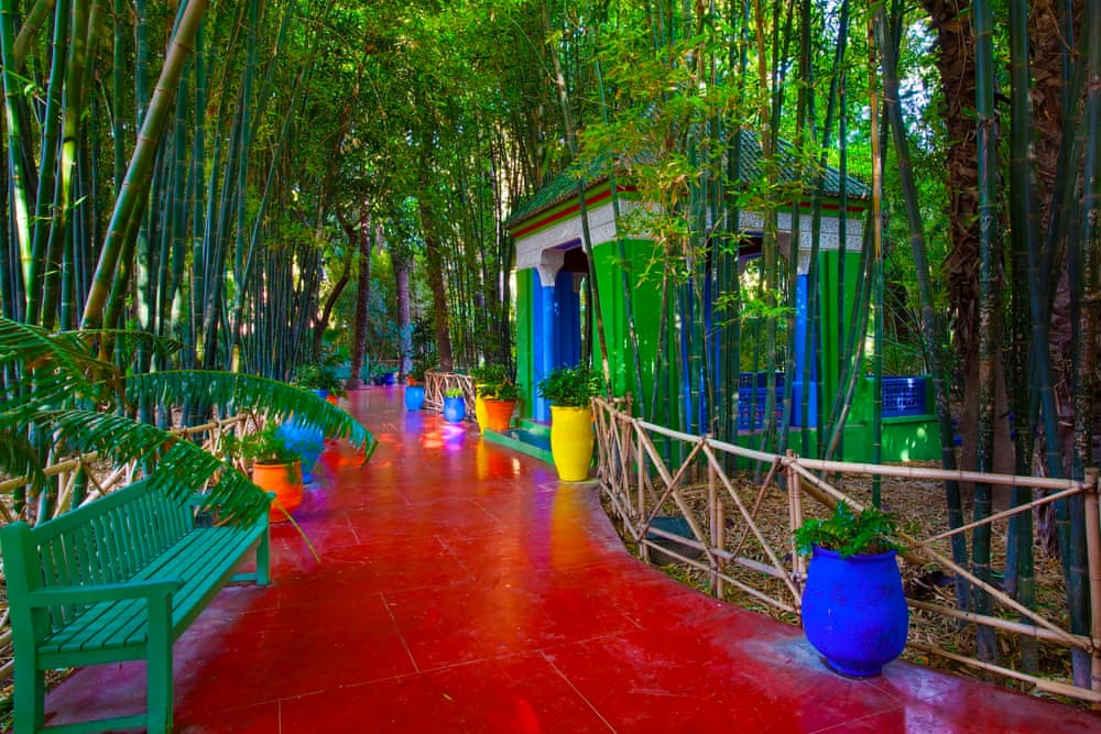 Аллея в саду Мажореля