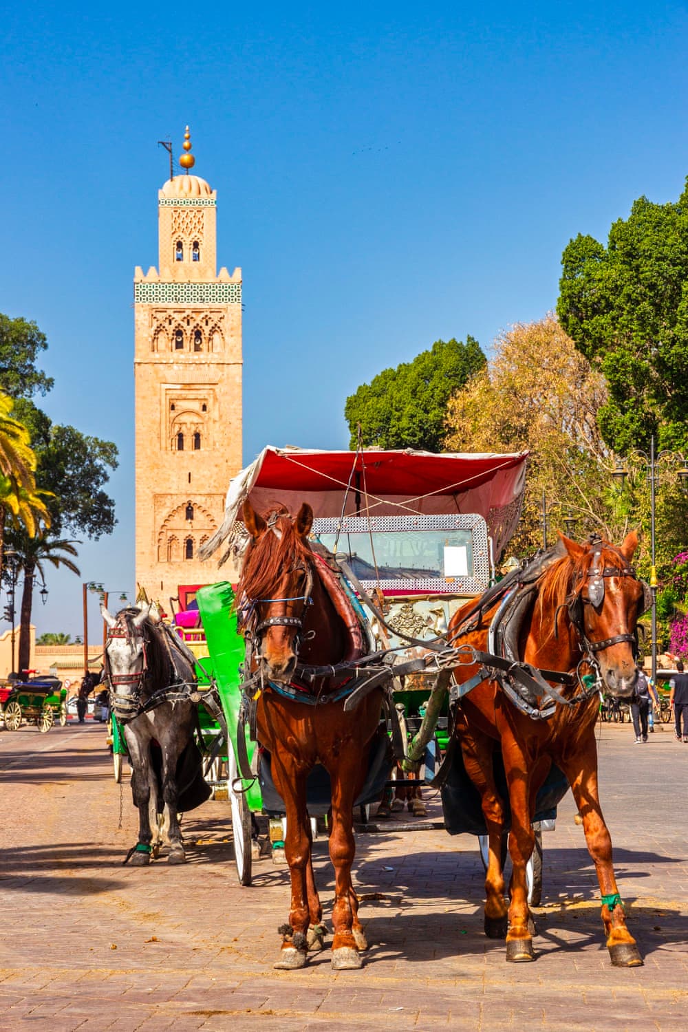 Конные экипажи, припаркованные у Джемаа-эль-Фна