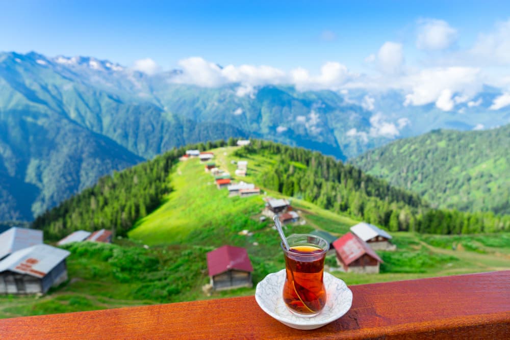 Pokut Yaylası
