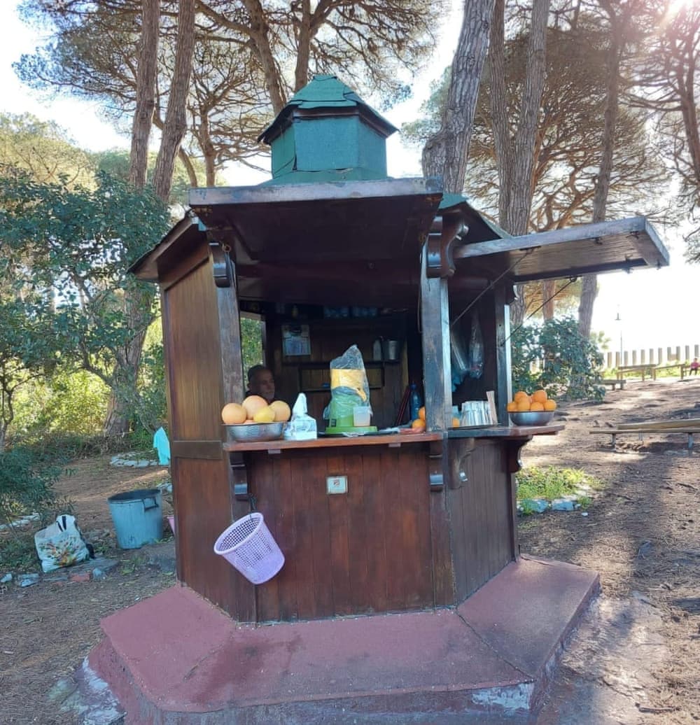 Orange juice merchant